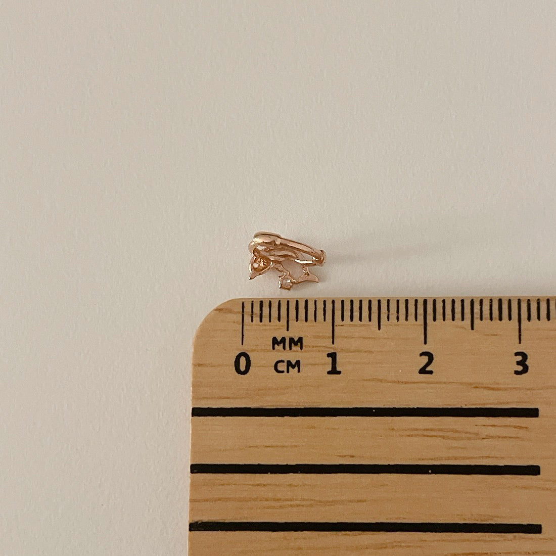 Dolphin Earrings