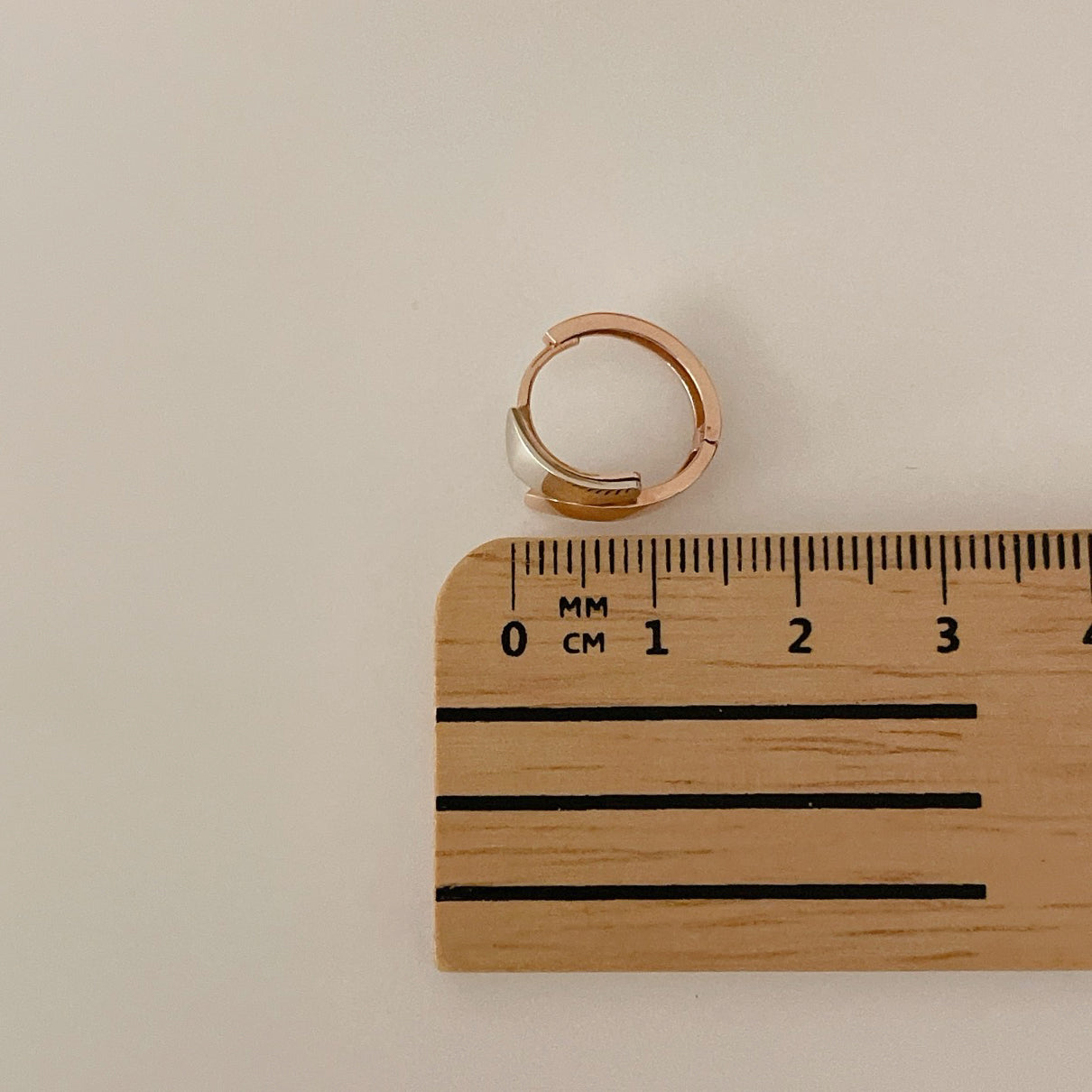 Two Tone Earrings