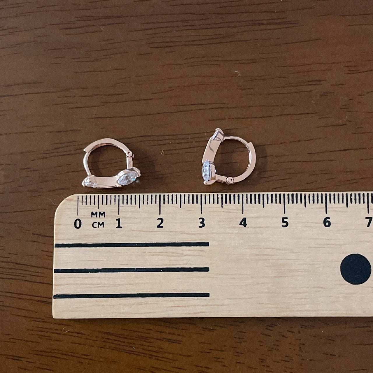 Double Point Hoop Earrings