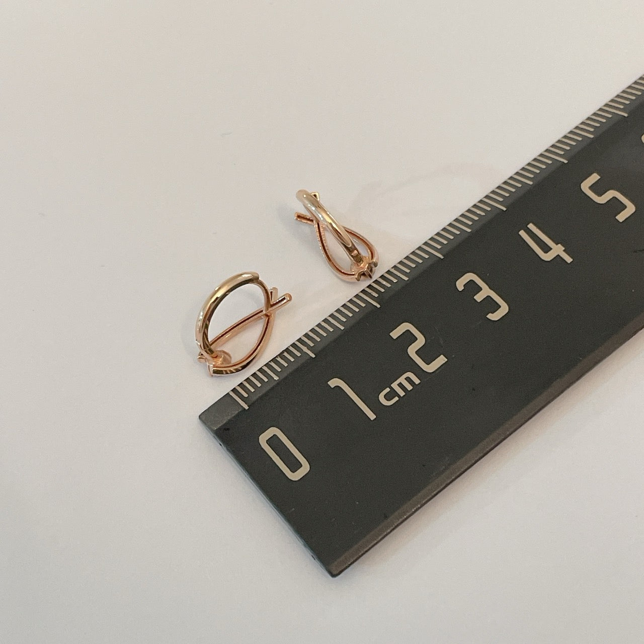 Fish Earrings