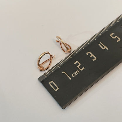 Fish Earrings