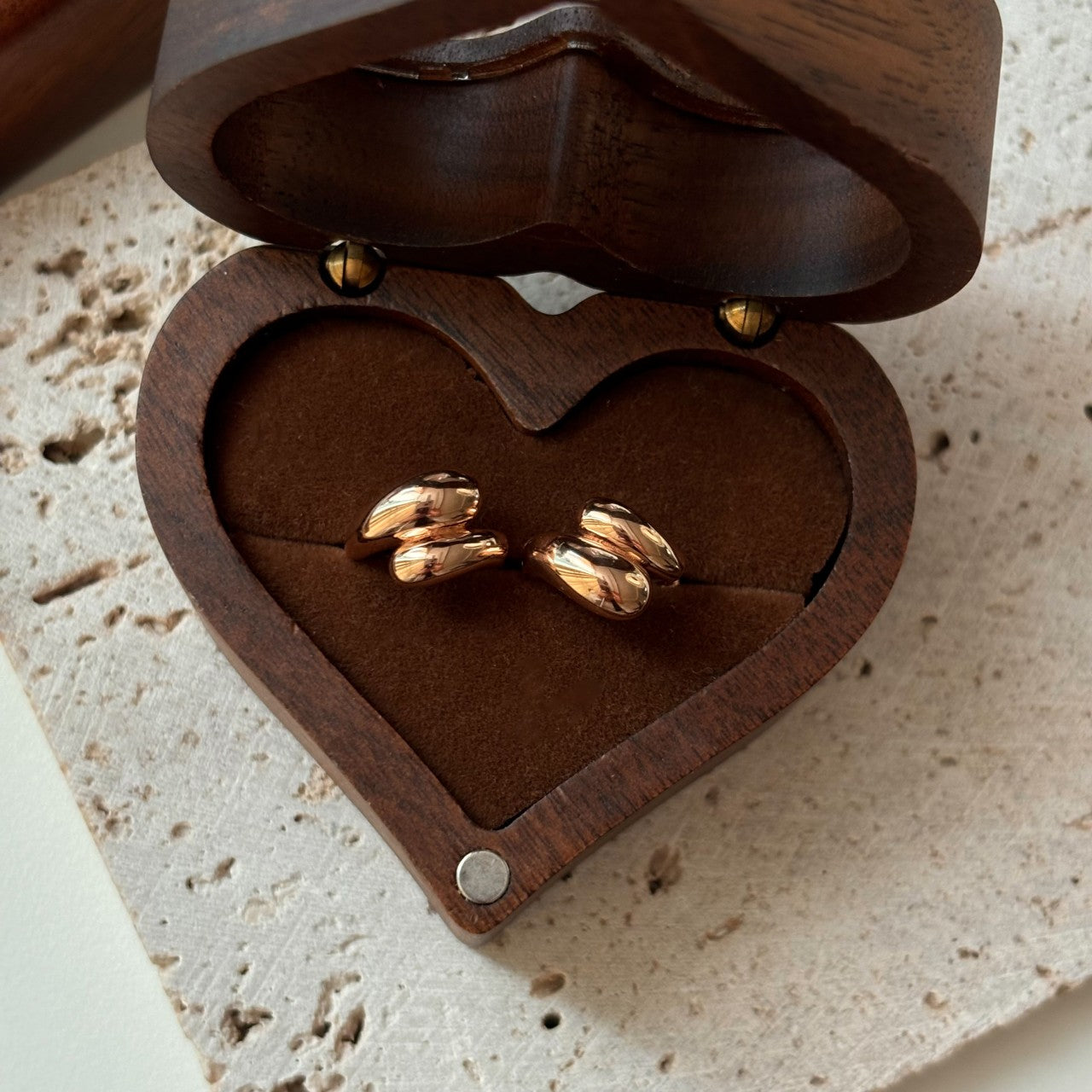 Double Line Earrings