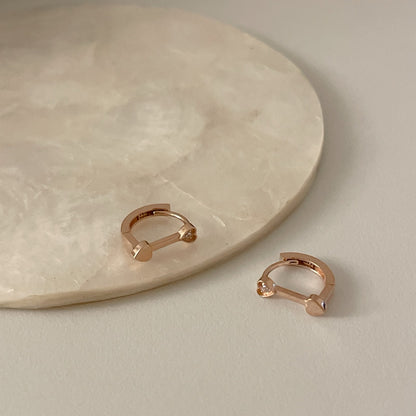 Heart Earrings