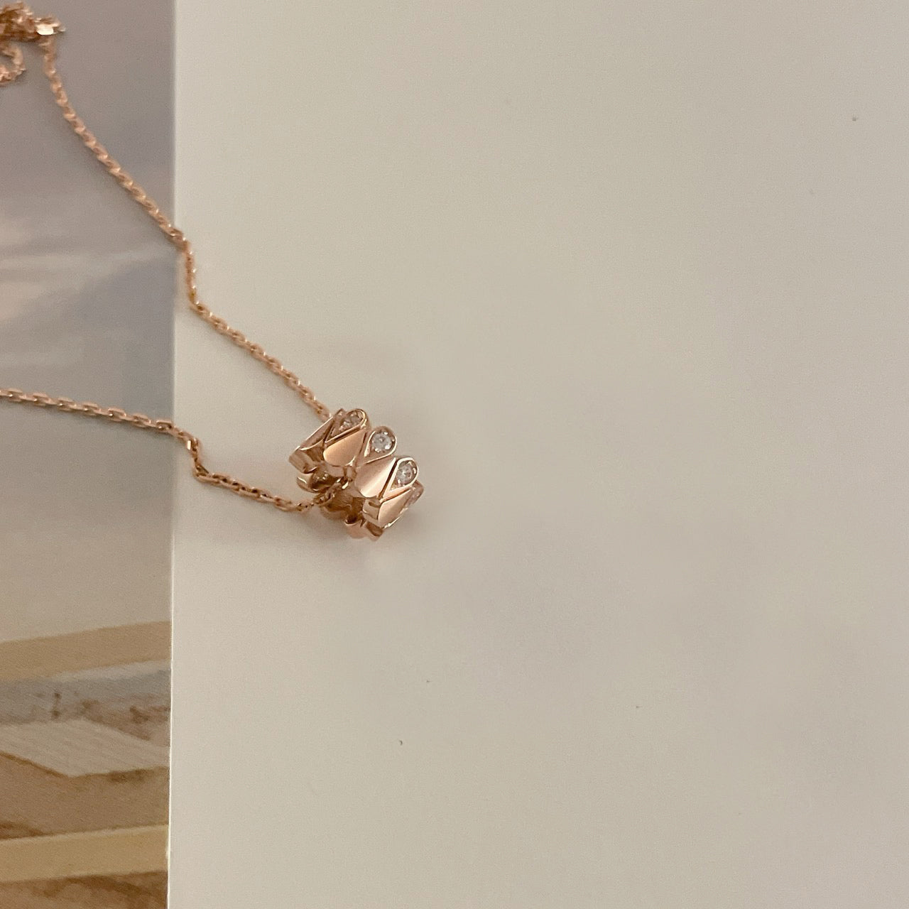 Ring Necklace