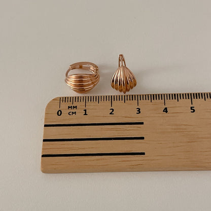 Shell Hoop Earrings