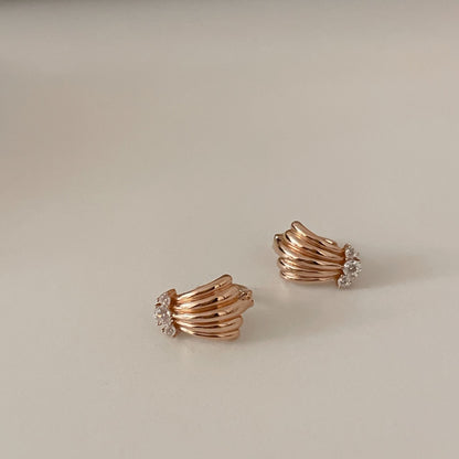 Seashell Earrings