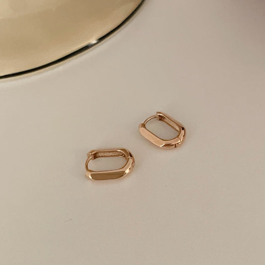 U Shape Earrings